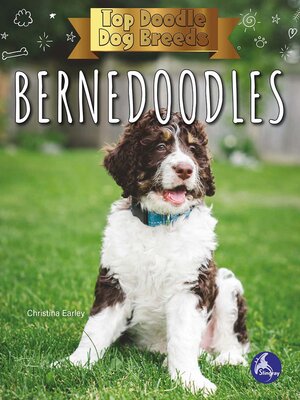 cover image of Bernedoodles